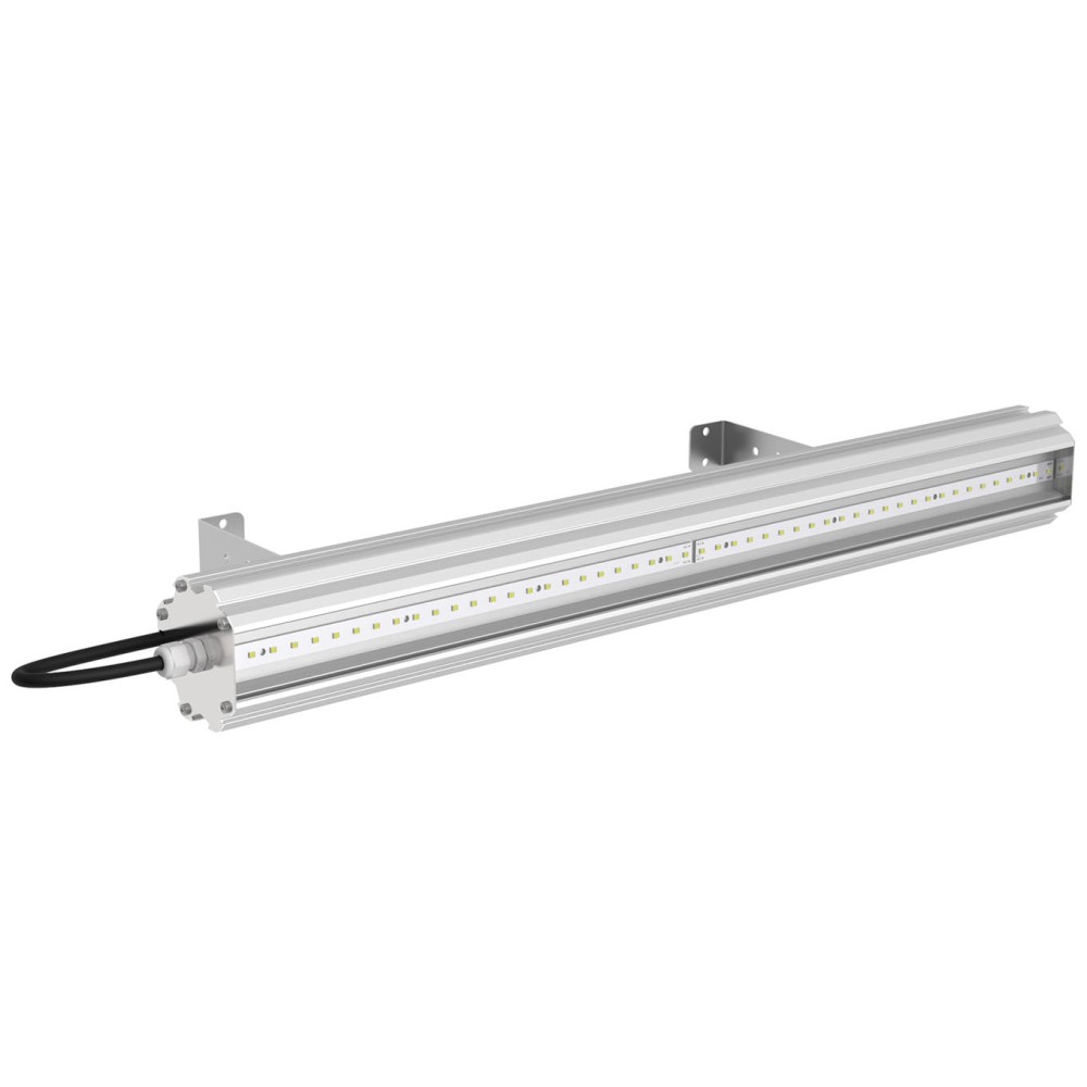 SVT-P-Fort-600-16W-LV-24V DC